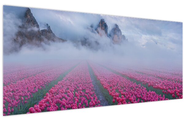 Kép - Tájkép tulipánmezőkkel (120x50 cm)