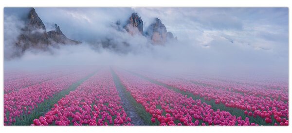 Kép - Tájkép tulipánmezőkkel (120x50 cm)