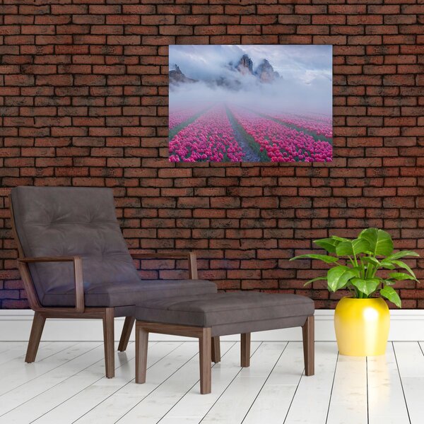 Kép - Tájkép tulipánmezőkkel (70x50 cm)
