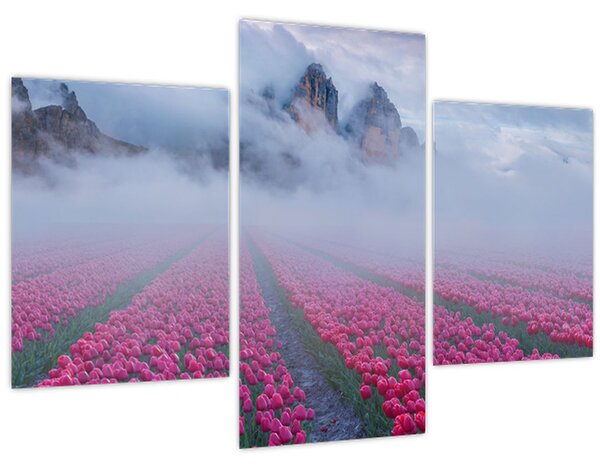 Kép - Tájkép tulipánmezőkkel (90x60 cm)