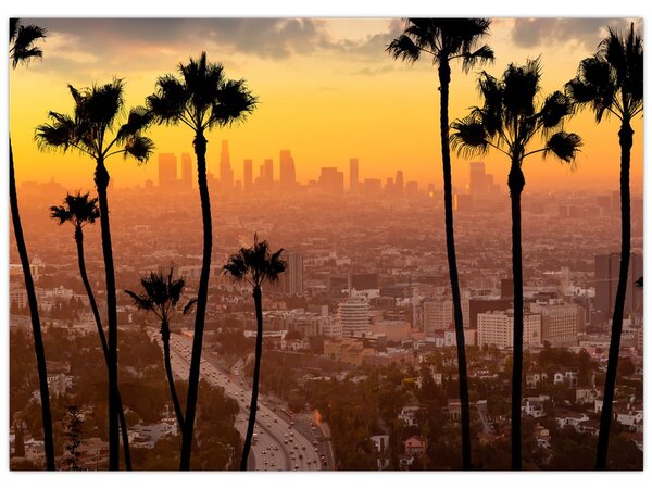 Kép - Los Angeles panorámája (70x50 cm)
