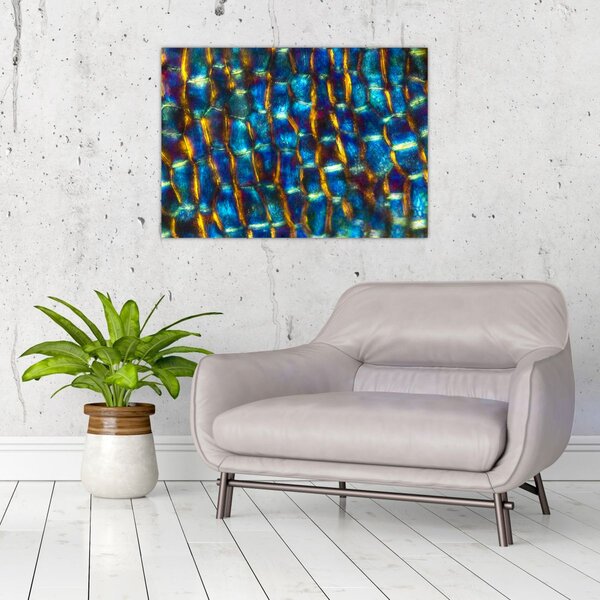 Kép - Sejtfal (70x50 cm)