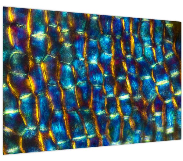 Kép - Sejtfal (90x60 cm)