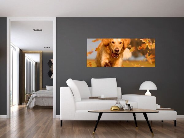 Kép - Golden Retriever (120x50 cm)