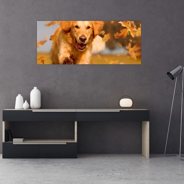 Kép - Golden Retriever (120x50 cm)