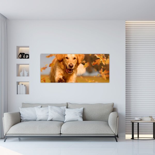 Kép - Golden Retriever (120x50 cm)