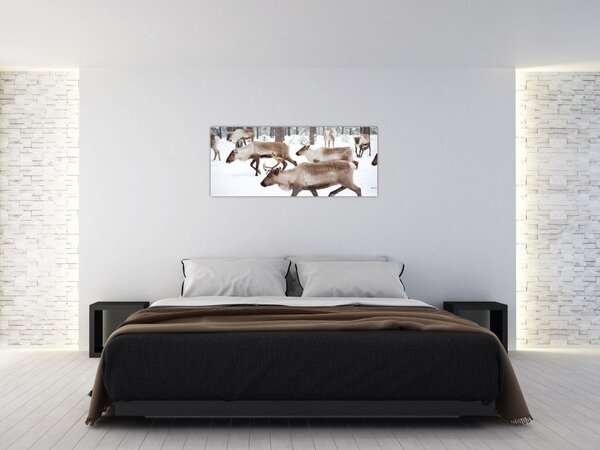 Kép - Rénszarvas (120x50 cm)