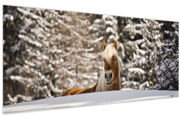 Kép - Ló a téli tájban (120x50 cm)