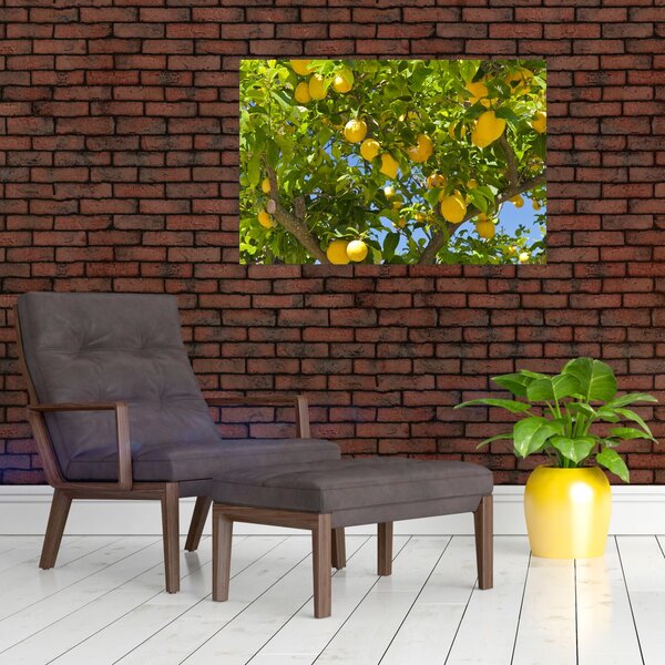 Kép - Citromfa (90x60 cm)