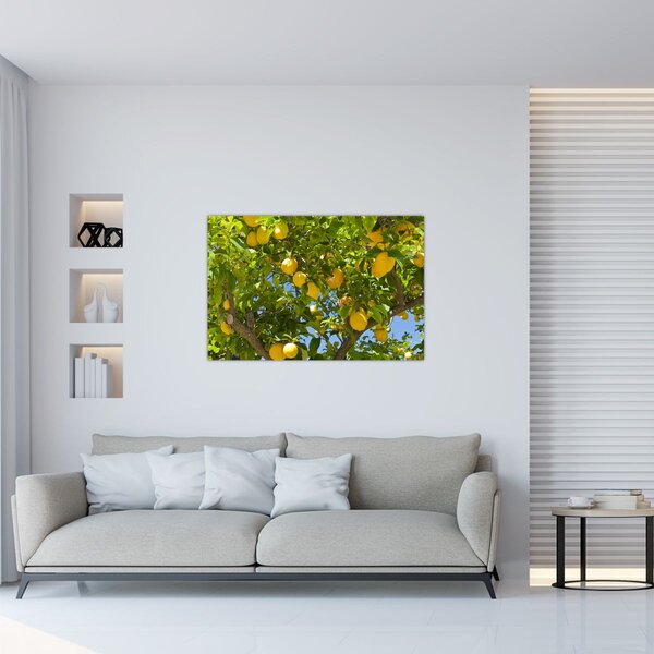 Kép - Citromfa (90x60 cm)