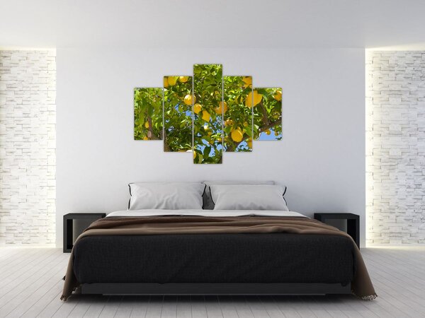 Kép - Citromfa (150x105 cm)