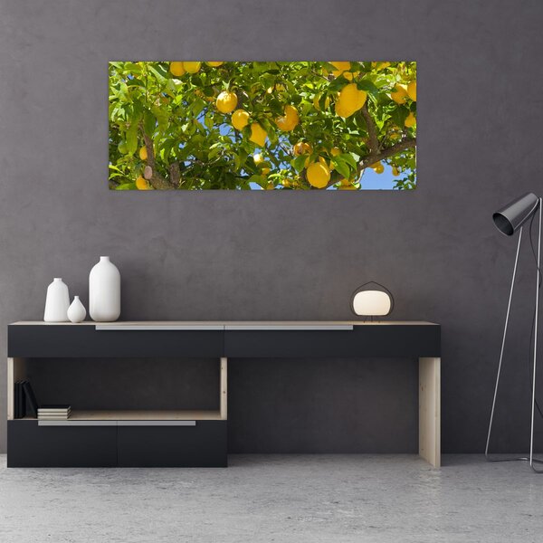 Kép - Citromfa (120x50 cm)