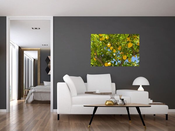 Kép - Citromfa (90x60 cm)