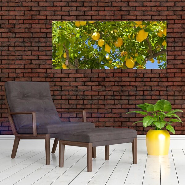 Kép - Citromfa (120x50 cm)