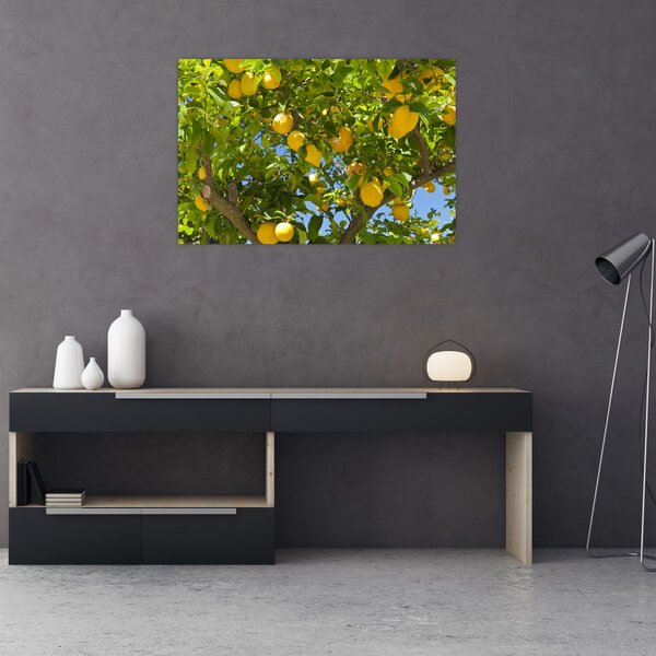 Kép - Citromfa (90x60 cm)