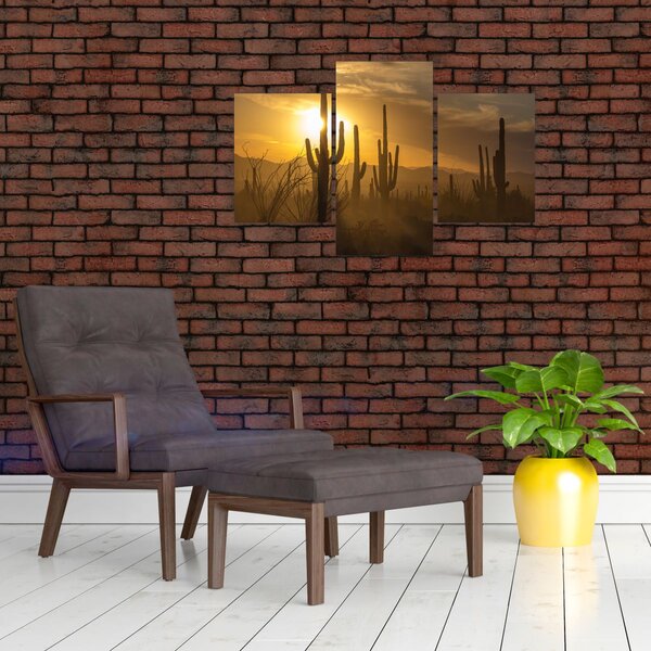 Kép - Saguaro kaktuszok (90x60 cm)