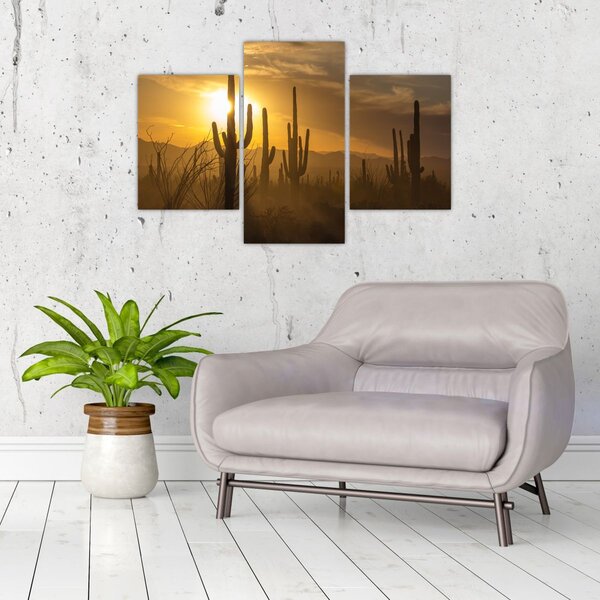 Kép - Saguaro kaktuszok (90x60 cm)