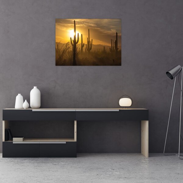 Kép - Saguaro kaktuszok (70x50 cm)