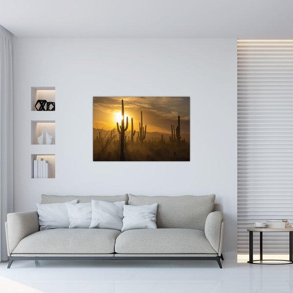 Kép - Saguaro kaktuszok (90x60 cm)
