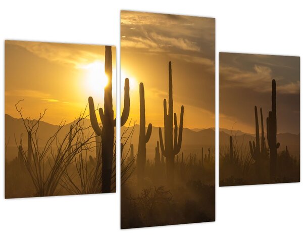 Kép - Saguaro kaktuszok (90x60 cm)