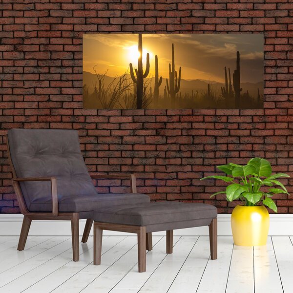Kép - Saguaro kaktuszok (120x50 cm)