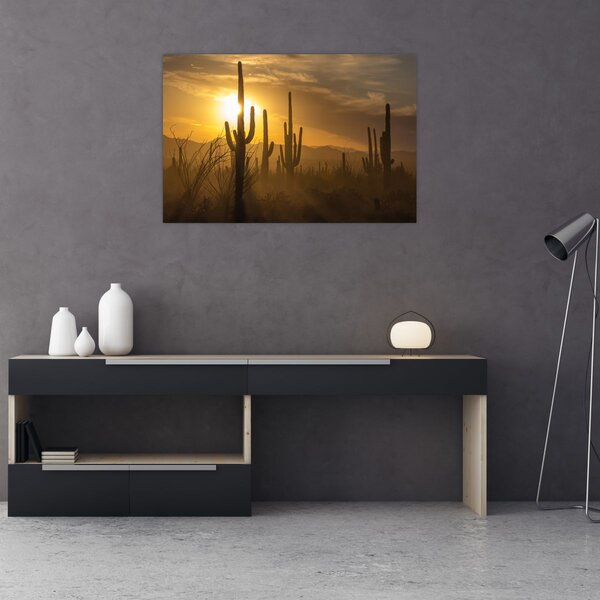 Kép - Saguaro kaktuszok (90x60 cm)