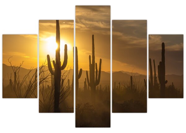 Kép - Saguaro kaktuszok (150x105 cm)