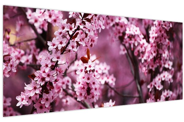 Kép - Rózsaszín sakura (120x50 cm)
