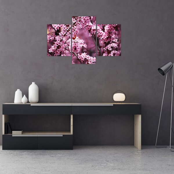 Kép - Rózsaszín sakura (90x60 cm)