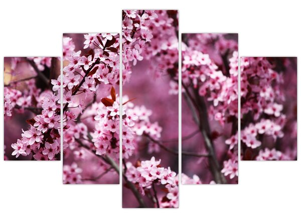 Kép - Rózsaszín sakura (150x105 cm)