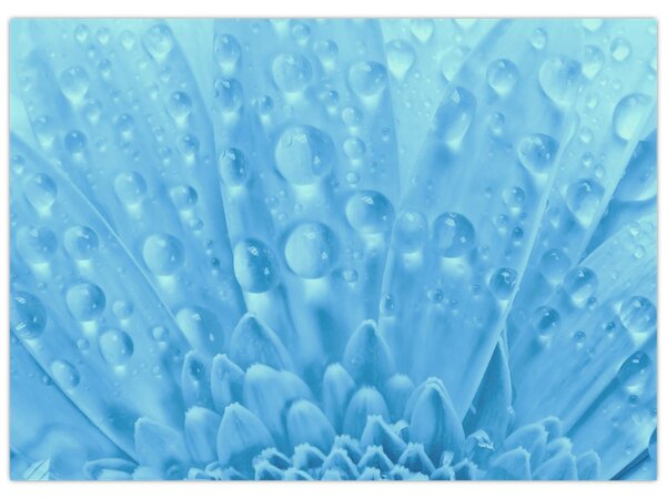 Kép - Makro felvétel egy virágról (70x50 cm)