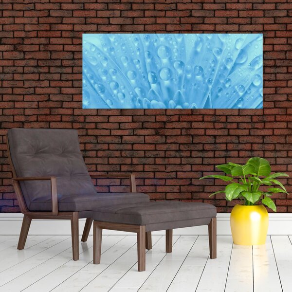 Kép - Makro felvétel egy virágról (120x50 cm)