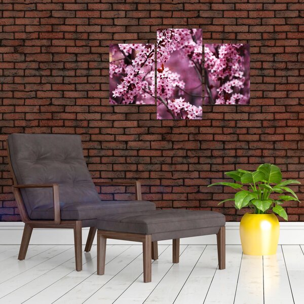 Kép - Rózsaszín sakura (90x60 cm)