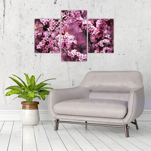 Kép - Rózsaszín sakura (90x60 cm)