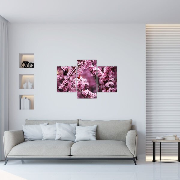 Kép - Rózsaszín sakura (90x60 cm)