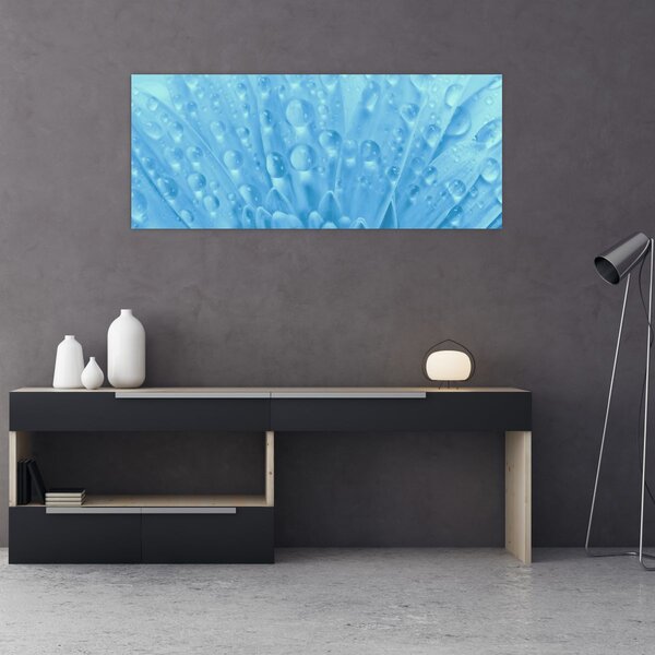 Kép - Makro felvétel egy virágról (120x50 cm)