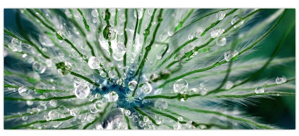 Kép - Makro kép egy virágról (120x50 cm)