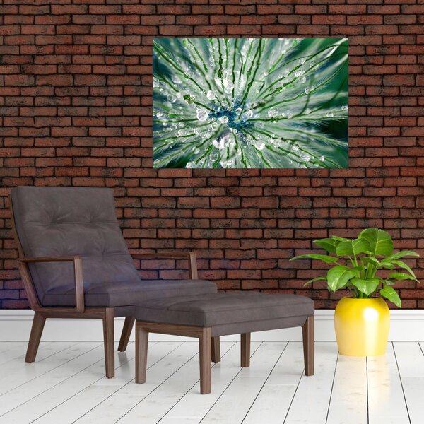 Kép - Makro kép egy virágról (90x60 cm)