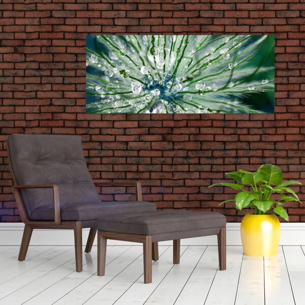 Kép - Makro kép egy virágról (120x50 cm)