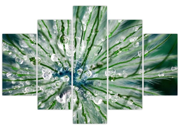 Kép - Makro kép egy virágról (150x105 cm)