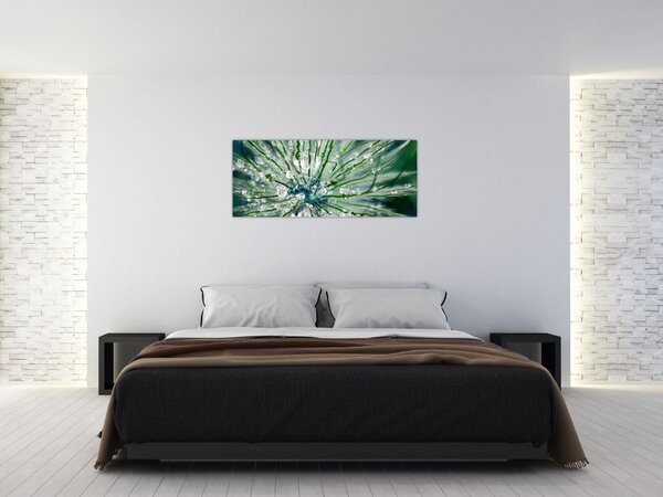 Kép - Makro kép egy virágról (120x50 cm)