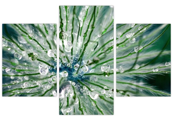 Kép - Makro kép egy virágról (90x60 cm)