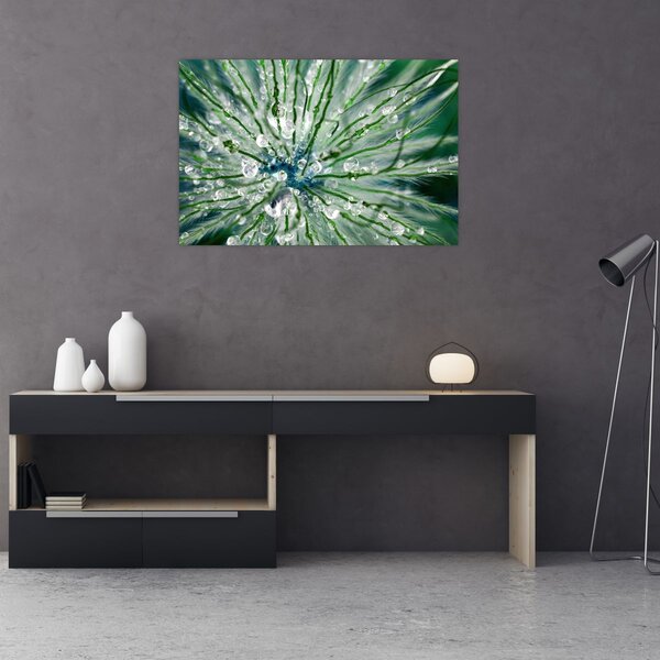 Kép - Makro kép egy virágról (90x60 cm)