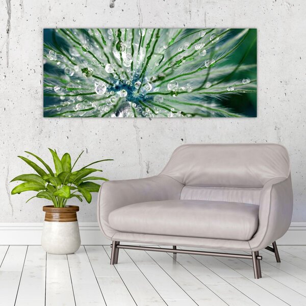 Kép - Makro kép egy virágról (120x50 cm)
