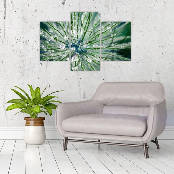 Kép - Makro kép egy virágról (90x60 cm)