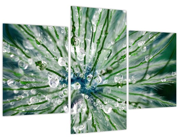 Kép - Makro kép egy virágról (90x60 cm)
