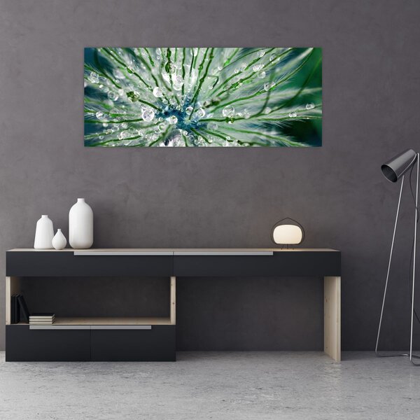 Kép - Makro kép egy virágról (120x50 cm)