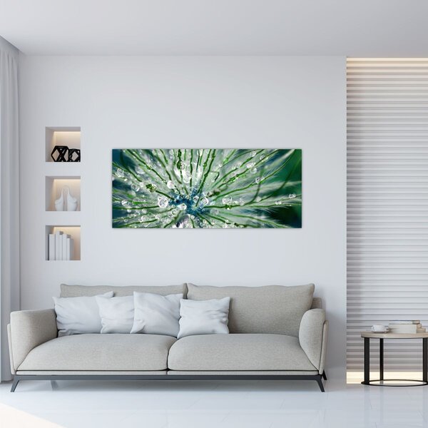 Kép - Makro kép egy virágról (120x50 cm)