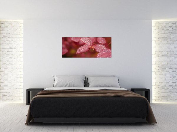 Kép - A jegy makroképe (120x50 cm)