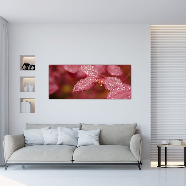 Kép - A jegy makroképe (120x50 cm)